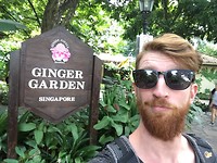 Ginger garden