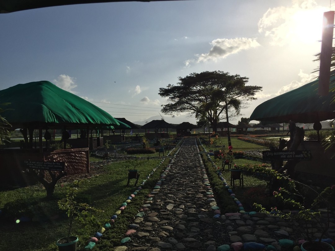 Prison garden