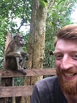 Monkey on the way to the underground river