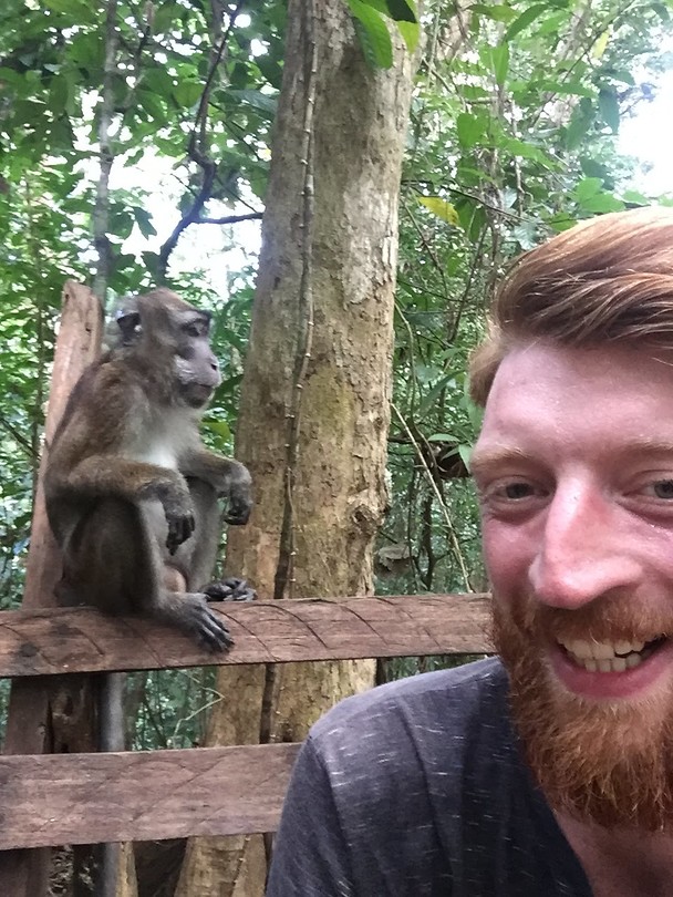 Monkey on the way to the underground river