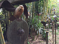 IMG_6378