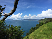IMG_6394