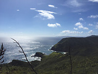 IMG_6410