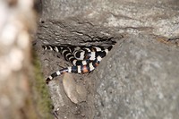 IMG-20170916-WA0016