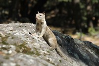 IMG-20170916-WA0009