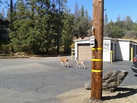 IMG-20170915-WA0016