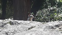 20170914_123146