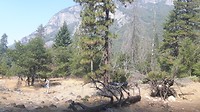 20170914_111009