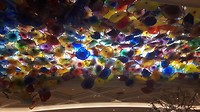 20170910_223248