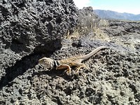 IMG-20170912-WA0009