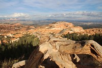 IMG-20170910-WA0023