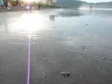 Babyschildpadjes kruipen naar de oceaan