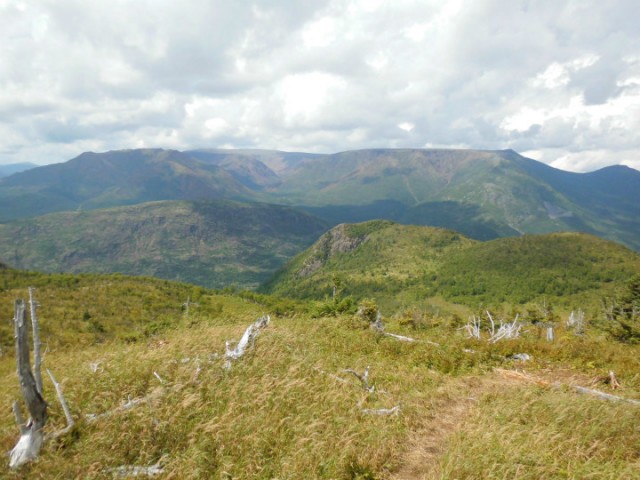 parc gaspesie