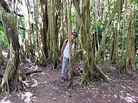 IMG20230110123547