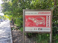 IMG20230109115026