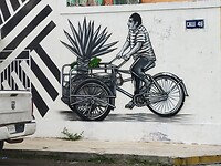 IMG20230113132627
