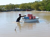 IMG-20230117-WA0008