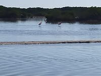 IMG20230117145229