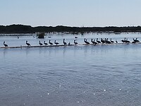 IMG20230117145011
