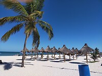 IMG20230117121258