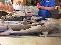 IMG20230116145716