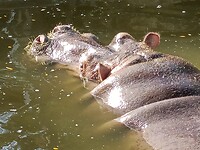 IMG20230121150203
