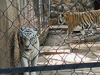 IMG20230121145534