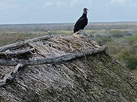 IMG20230123123507