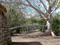 IMG20230123130534