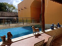 IMG20230124123512