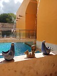 IMG20230124123607
