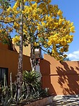 IMG20230129144228