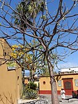 IMG20230129144153