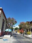 IMG20230129135525