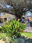 IMG20230131132340