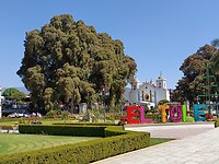 IMG20230131125548