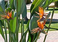 IMG20230131132211_1