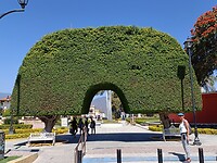 IMG20230131130502