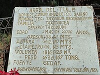 IMG20230131132729