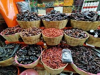 IMG20230130135434