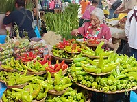 IMG20230203115926