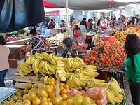 IMG20230203115159