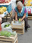 IMG20230203113615