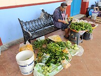 IMG20230203112741