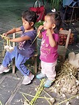 IMG20230203113216