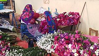 IMG-20200202-WA0022