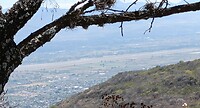 IMG20230205124421_1