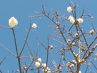 IMG20230205131306