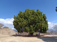 IMG20230205131024