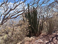 IMG20230205130820